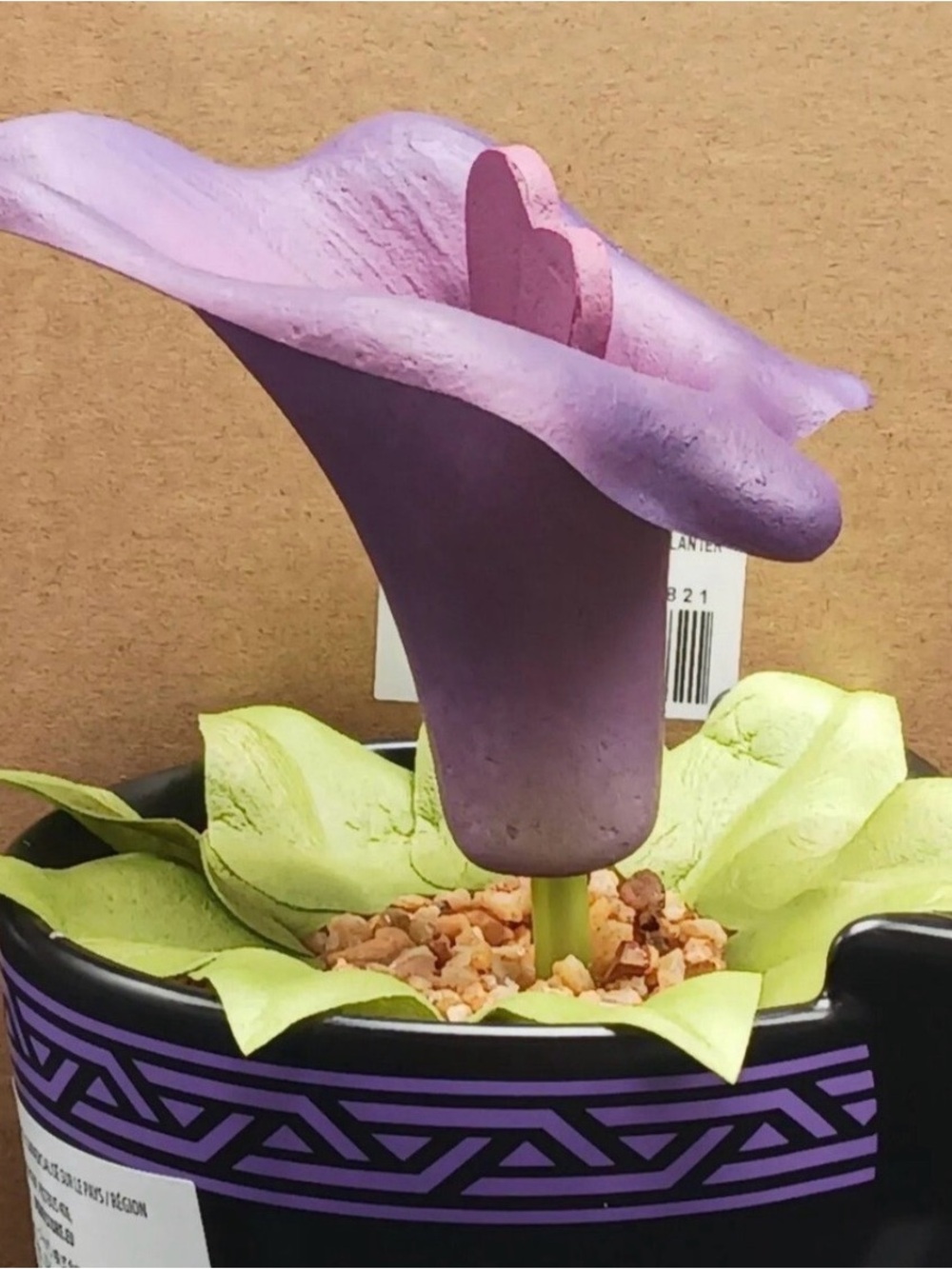 Wakanda Purple Flower Accent in Black Planter